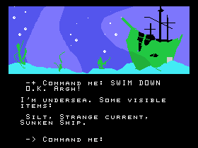 Return to Pirate's Isle (TI-99/4A) screenshot: There is a wrecked ship here