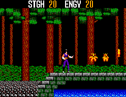 SpellCaster (SEGA Master System) screenshot: On the way to a temple