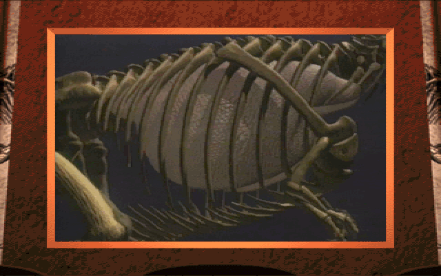 3-D Dinosaur Adventure (DOS) screenshot: Here we see the lungs