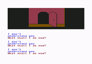 Scott Adams' Graphic Adventure #4: Voodoo Castle (Commodore 64) screenshot: Small door