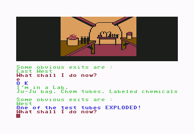 Scott Adams' Graphic Adventure #4: Voodoo Castle (Commodore 64) screenshot: Lab