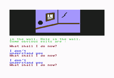 Scott Adams' Graphic Adventure #4: Voodoo Castle (Commodore 64) screenshot: Hole room