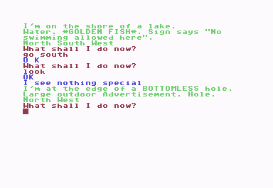 Adventureland (Commodore 64) screenshot: Edge of Bottomless hole