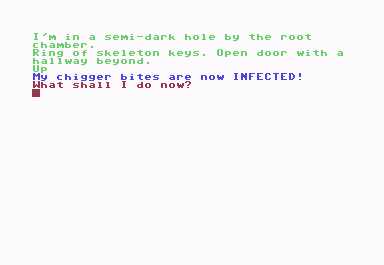 Adventureland (Commodore 64) screenshot: Chigger bites INFECTED! ugh!