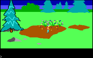 King's Quest (PC Booter) screenshot: Flowers. (Original PCjr release)