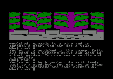 The Price of Magik (Amstrad CPC) screenshot: I found some unusual stuff in the herb garden.