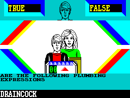 Every Second Counts (ZX Spectrum) screenshot: Round 1. 'Identify the correct & bogus plumbing expressions