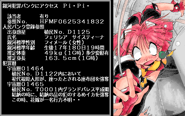 Uchū Kaitō Funny Bee (PC-98) screenshot: Shiori's dossier