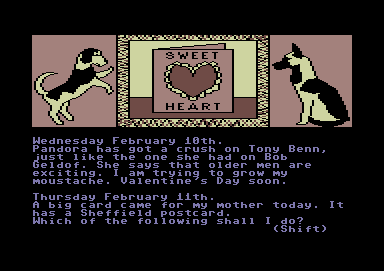 The Growing Pains of Adrian Mole (Commodore 64) screenshot: I got a Valentine's card.