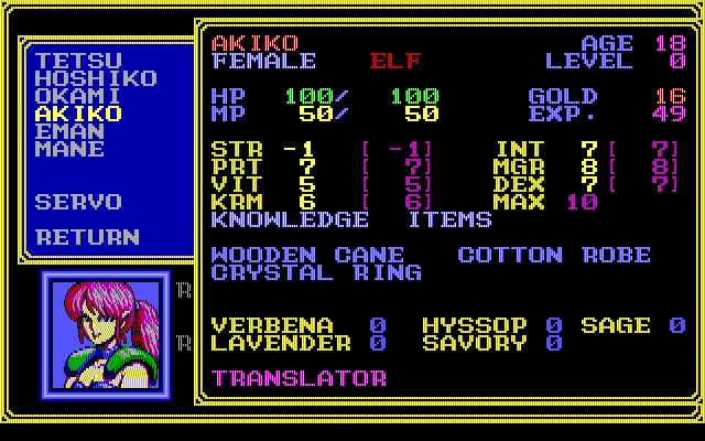 Sorcerian (DOS) screenshot: Viewing character information
