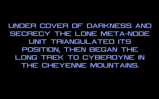 The Terminator: Rampage (DOS) screenshot: Lines of text describe the plot...