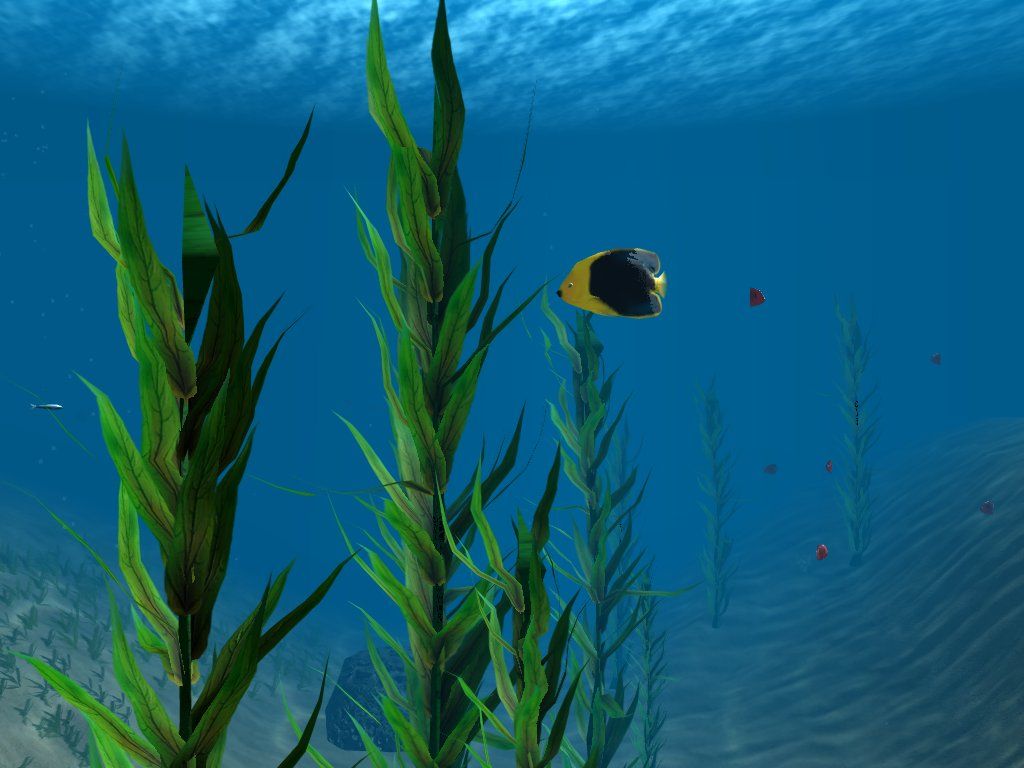 OceanDive (Windows) screenshot: kelp