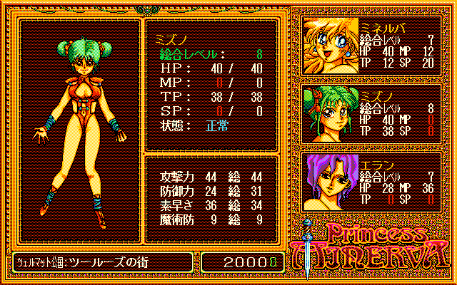 Princess Minerva (PC-98) screenshot: Character information