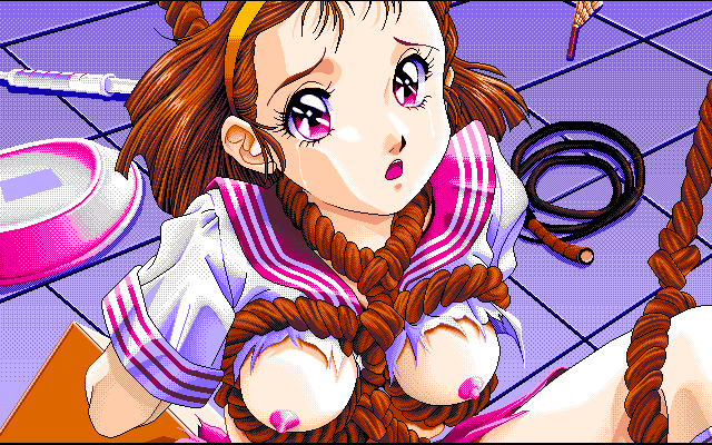 Sei Senshi Mokkoriman (PC-98) screenshot: She is actually 18 year old. Really, no kidding, it's written in her character profile