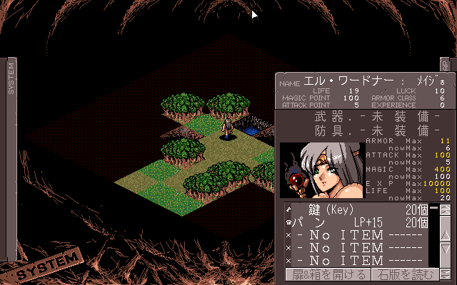 Case of Dungeons (PC-98) screenshot: Forest dungeon. Nice scenery!