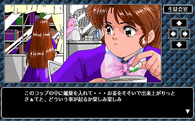 Sweet Angel (PC-98) screenshot: Girlie things