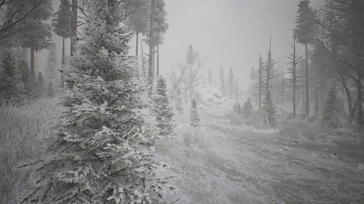 Kholat (PlayStation 4) screenshot: Heading down the forest path