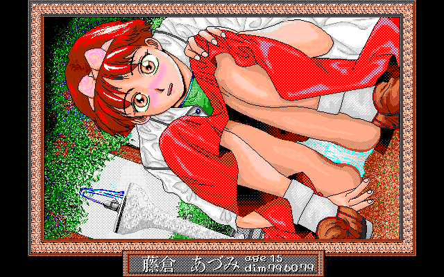 Bonnō-Yobikō 2 (PC-98) screenshot: Somehow, the previous picture was more... err... erotic