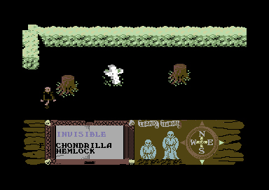 Feud (Commodore 64) screenshot: I used an invisibility spell.