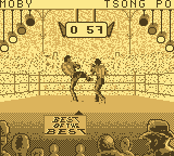 Best of the Best Championship Karate (Game Boy) screenshot: One of the kicks you can do