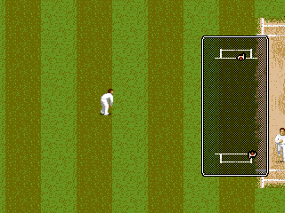 Shane Warne Cricket (Genesis) screenshot: Hit the ball into the field