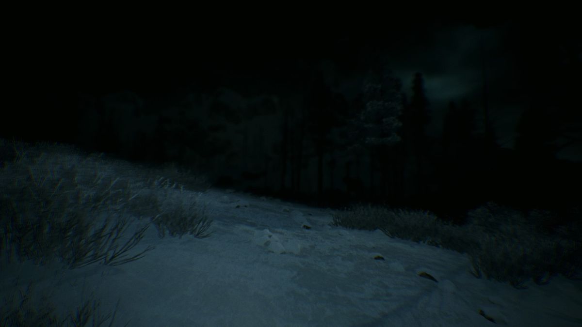 Kholat (PlayStation 4) screenshot: Certain places aren't exposed to much of the moonlight and are quite dark