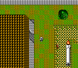 Times of Lore (NES) screenshot: A town