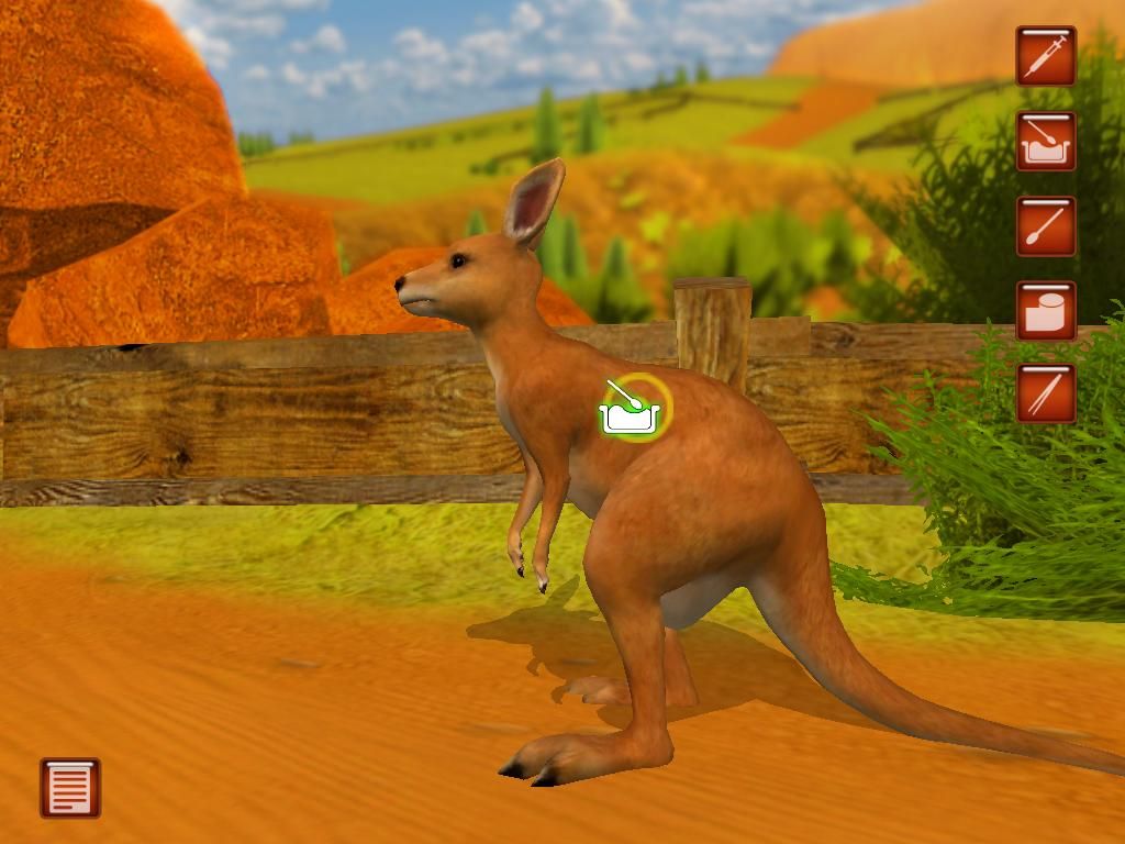 Paws & Claws: Pet Vet - Australian Adventures (Windows) screenshot: decide if an immediate treatment is necessary or to take the injured creature to the veterinary station