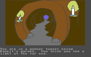 Winnie the Pooh in the Hundred Acre Wood (Commodore 64) screenshot: Down a tunnel! Good thing this is a kid's game or there might be all kinds of scary and icky things hiding here that could eat you!