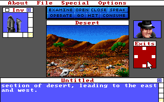 Déjà Vu II: Lost in Las Vegas (DOS) screenshot: Desert. (VGA)