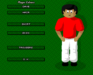 World Golf (Amiga) screenshot: Player's characteristics