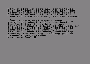 Deadenders (Commodore 64) screenshot: The game starts here in Effi's flat
