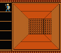 The Black Onyx (NES) screenshot: How about a solo quest?..