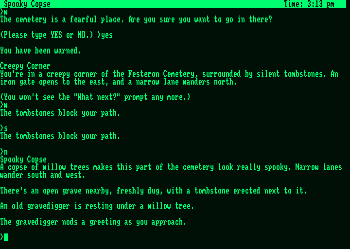 Wishbringer (Amstrad PCW) screenshot: Gravedigger