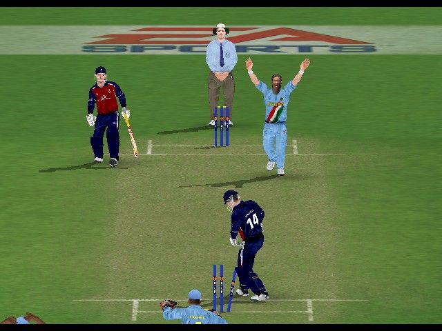 Cricket 2005 (Windows) screenshot: Players celebrate after the dismissal a batsman