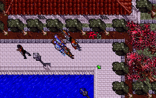 Ultima VII: Part Two - Serpent Isle (DOS) screenshot: Fawn, the Town of Beauty