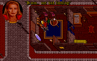 Ultima VII: Part Two - Serpent Isle (DOS) screenshot: The Avatar checks out her new tattoo