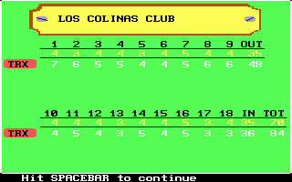 Mean 18 (DOS) screenshot: End-of-game scorecard (EGA)
