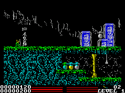Stryker in the Crypts of Trogan (ZX Spectrum) screenshot: There's something that could be flowers on the ground. They score me 100 points