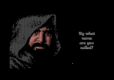 Windwalker (Commodore 64) screenshot: Enter your name