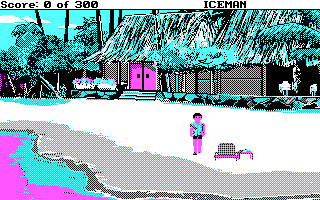 Code-Name: Iceman (DOS) screenshot: Starting on a beach. (CGA 4 Color Mode)