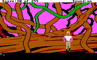 Space Quest: The Lost Chapter (DOS) screenshot: Roger is up a tree! The sky is pink for some reason