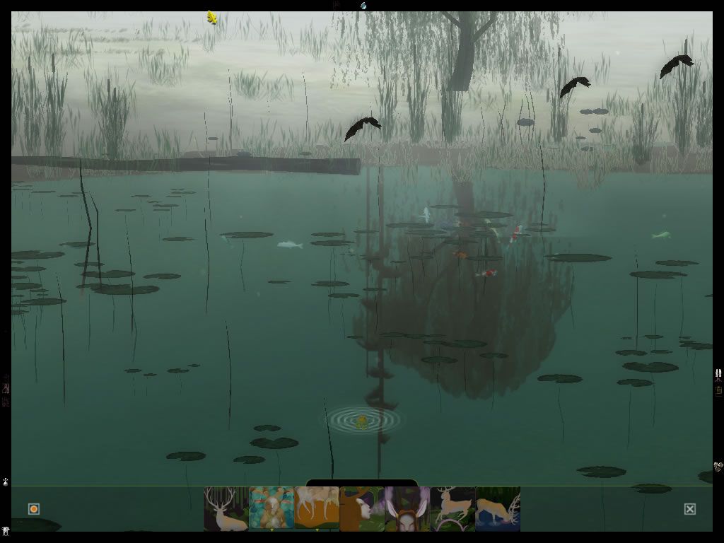 The Endless Forest (Windows) screenshot: Reaching the pond, I've been turned into a fish in order to swim (Phase 3).