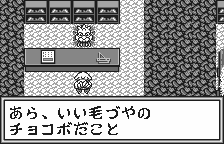 Chocobo no Fushigi na Dungeon (WonderSwan) screenshot: Name yer poison!