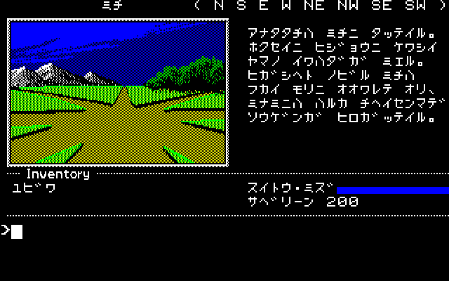 Ring Quest (PC-88) screenshot: Starting location