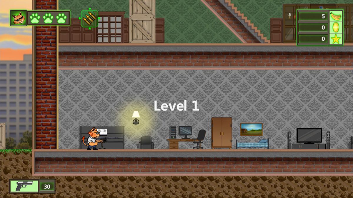 Crazy Catman (Windows) screenshot: Starting level 1