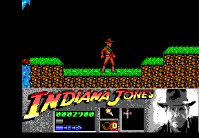 Indiana Jones and the Last Crusade: The Action Game (DOS) screenshot: Leaving the caves.