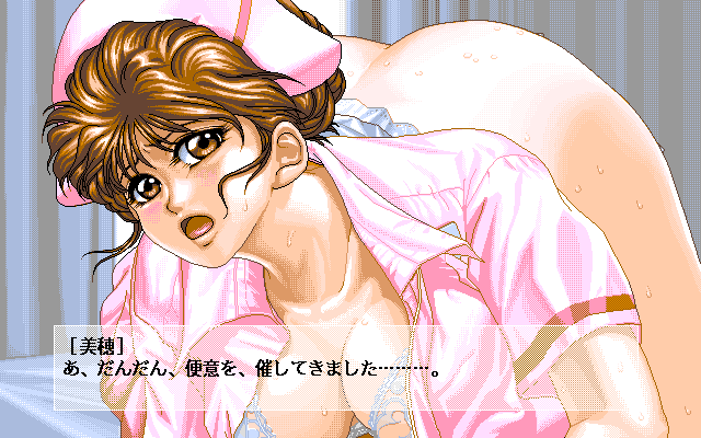 Miho Premium Collection no.003 (PC-98) screenshot: You don't want to know what's going on behind