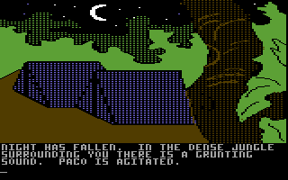 Amazon (Commodore 64) screenshot: The camp at night.