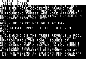 Ring Quest (Apple II) screenshot: Detailed text descriptions including directions appear after pressing the Return key